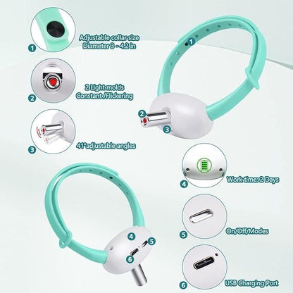 Endless Chase Laser Collar