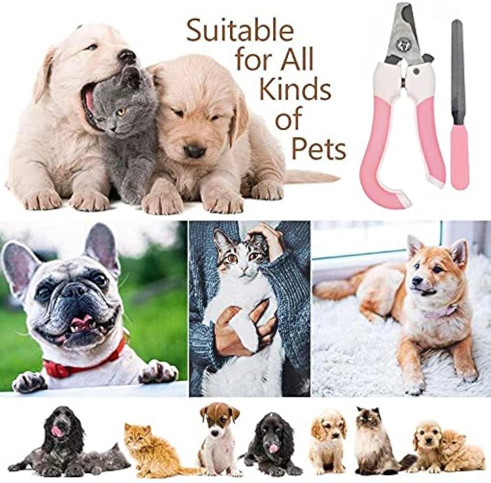 Fear-Free Paw Care Kit